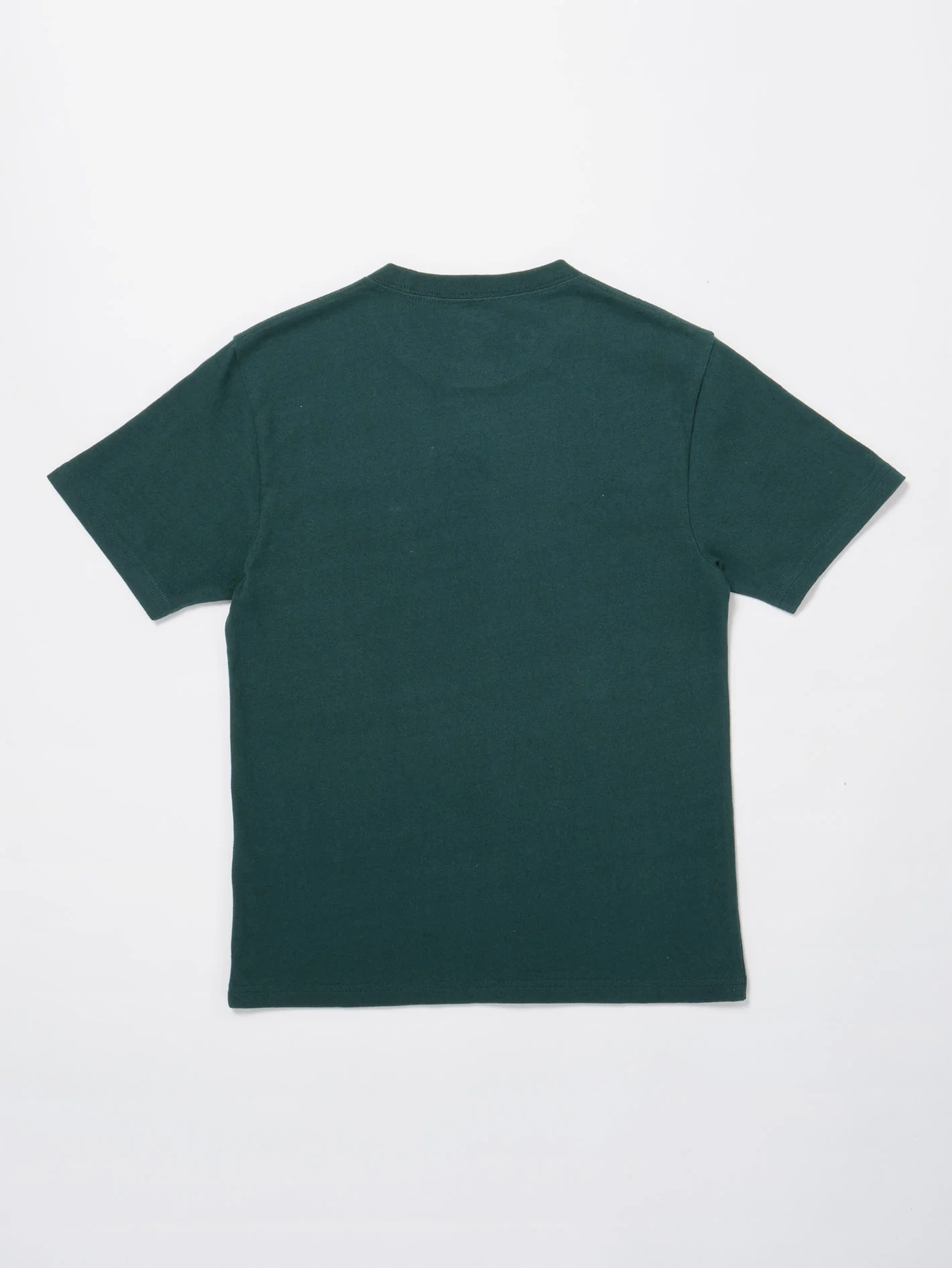 Amplified T-shirt - PONDEROSA PINE - (KIDS) - Image 2