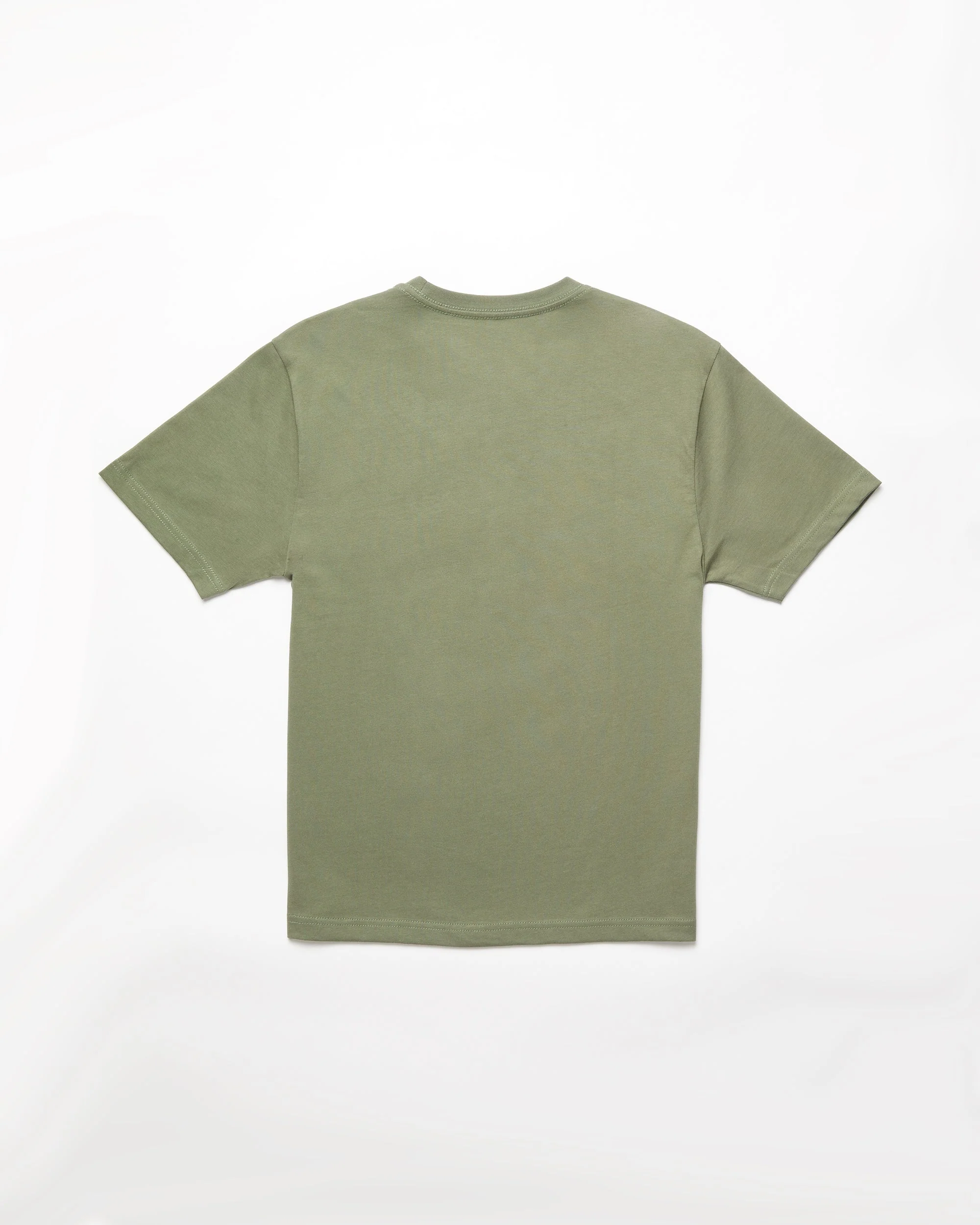 Pnw T-shirt - LIGHT OLIVE - (KIDS) - Image 2
