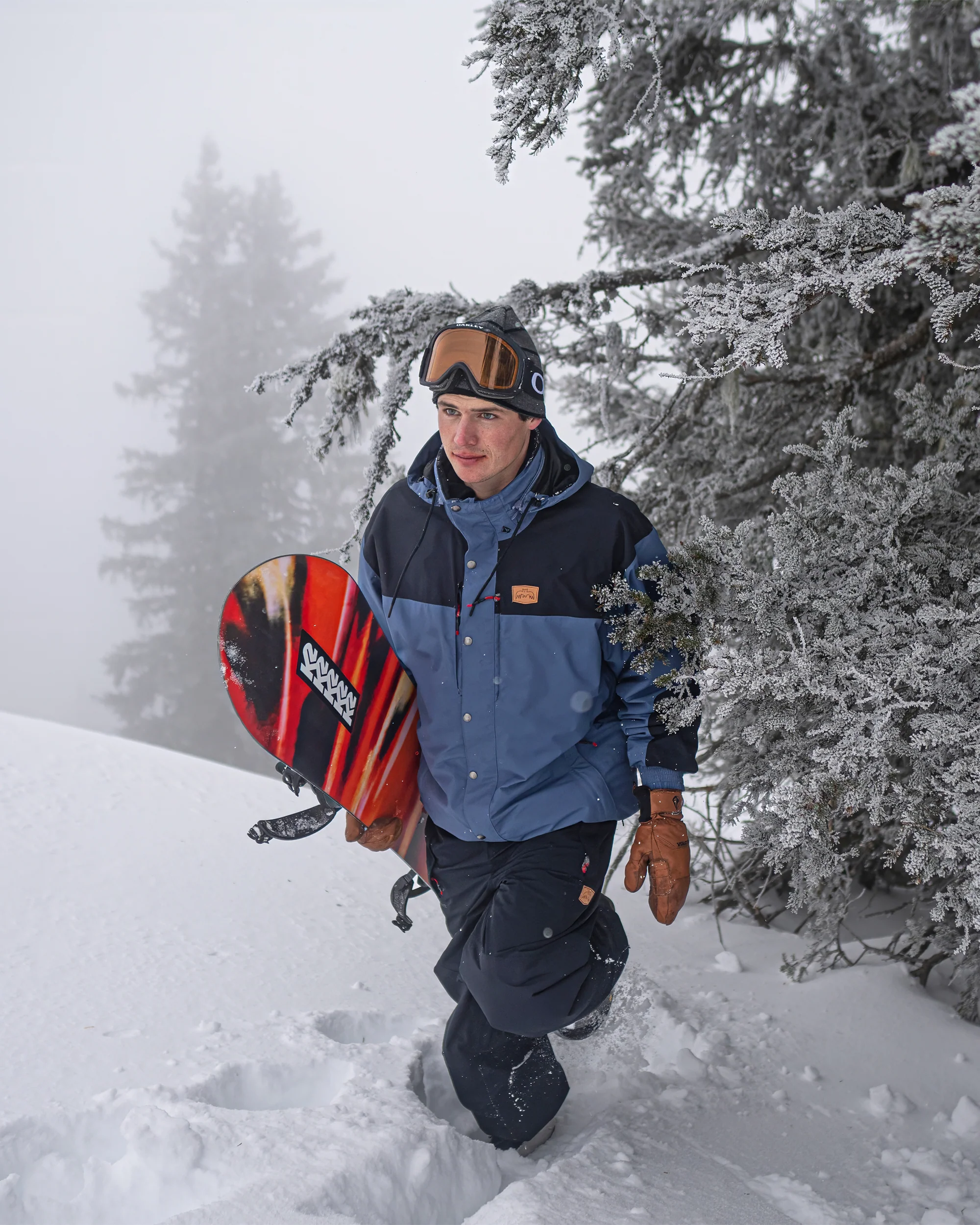 Longo Gore-Tex Jacket - Indigo - Image 2