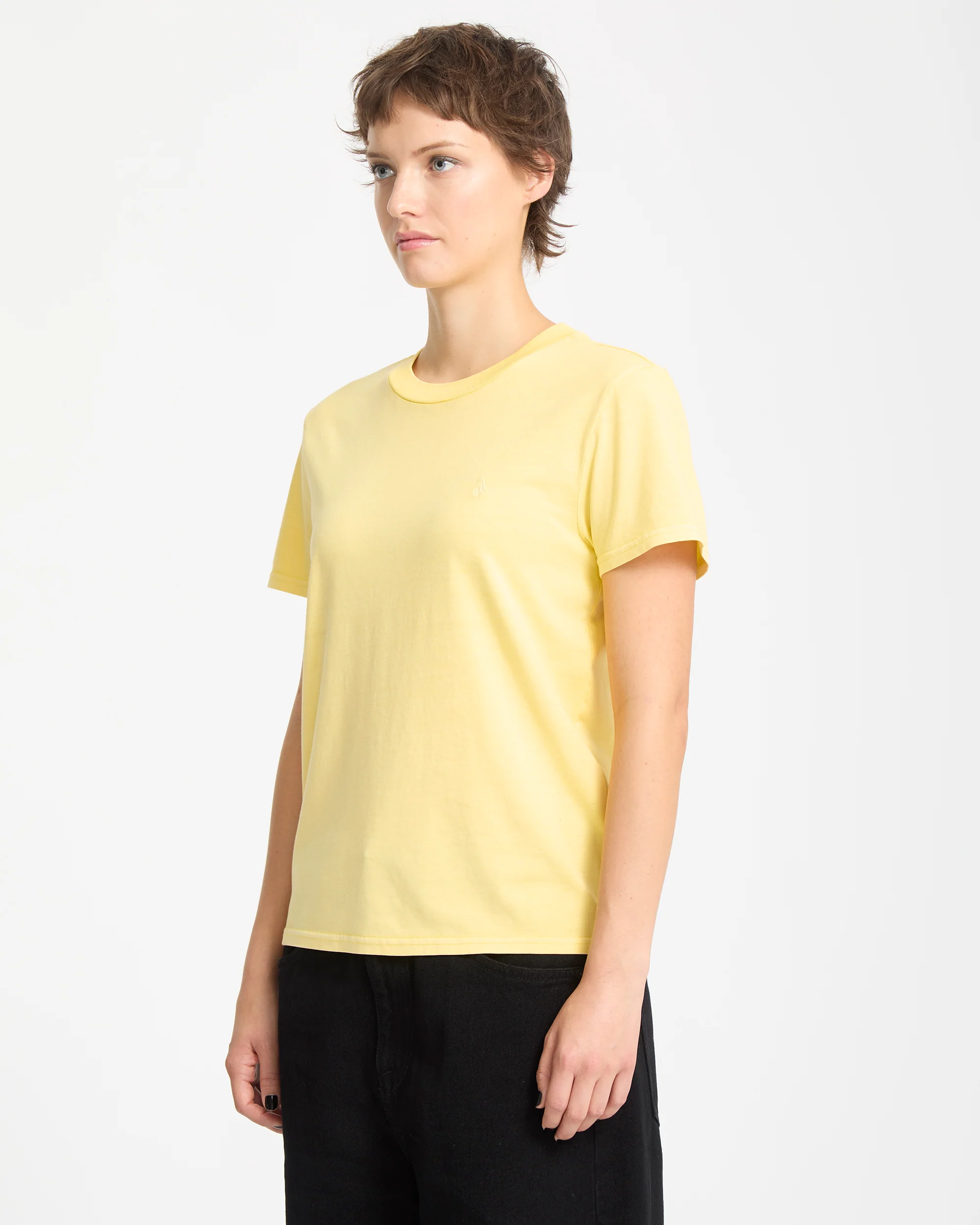 Solid Stone Emb T-Shirt - Dawn Yellow - Image 5