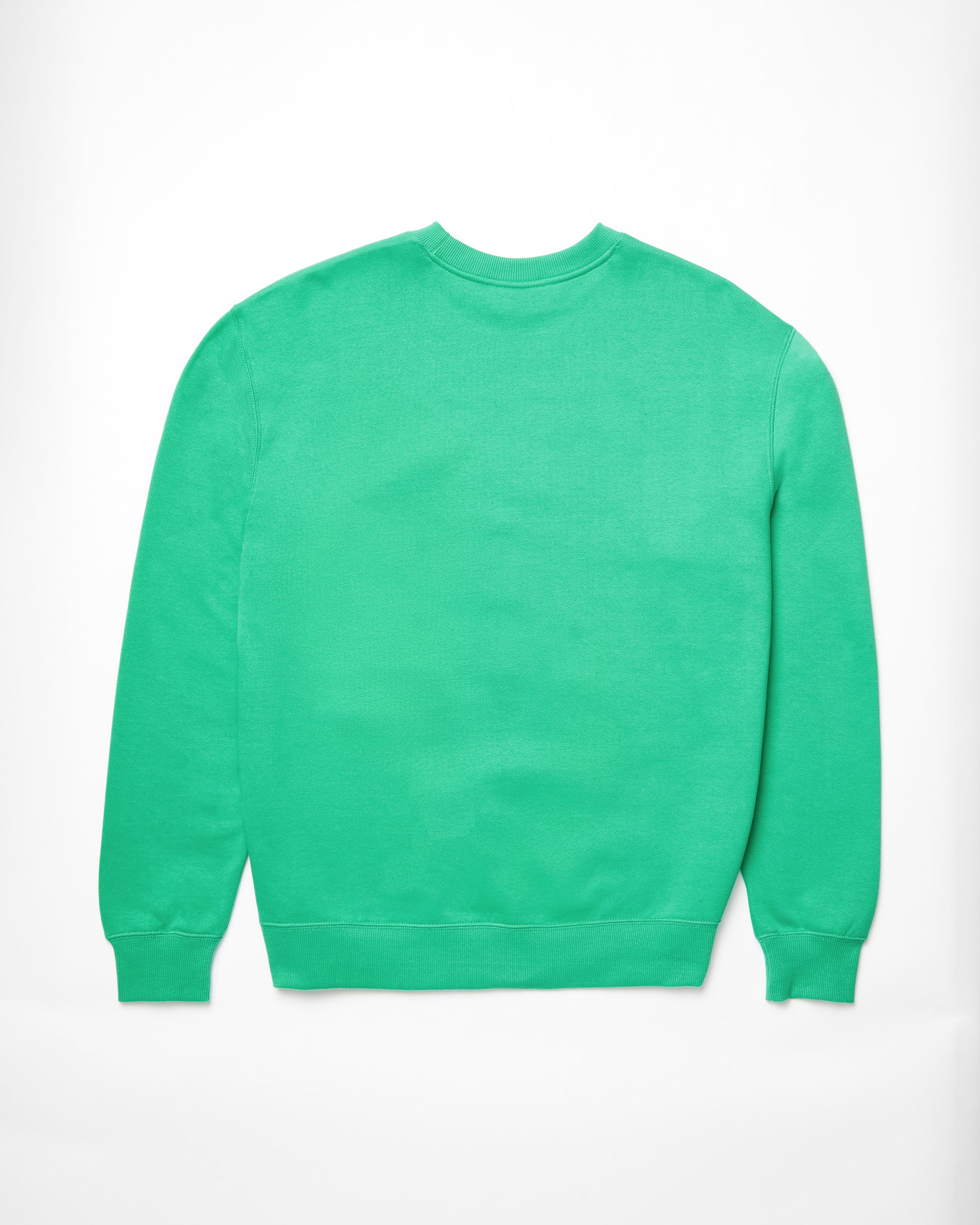 Watanite Sweatshirt - MINT - Image 10